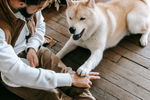 Educateur avec un chien